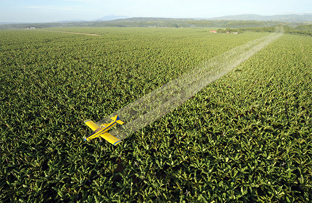 MP pode afrouxar regras para agrotóxicos