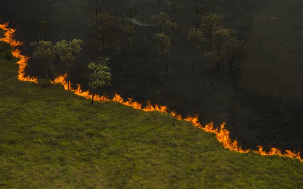 Pantanal: área queimada em 5 meses é 39% maior do que pior ano da história do bioma; vídeo mostra devastação