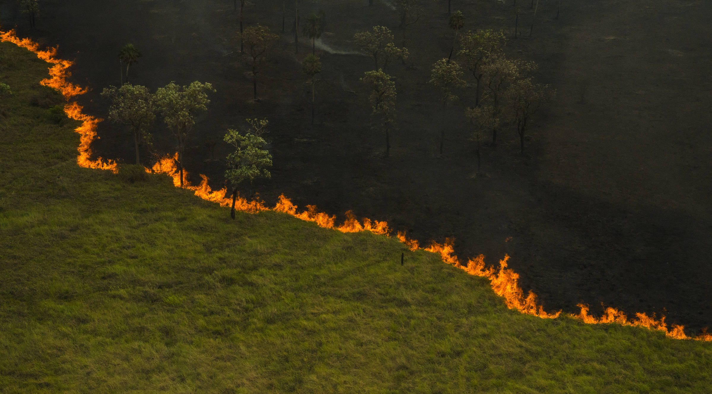 Pantanal: área queimada em 5 meses é 39% maior do que pior ano da história do bioma; vídeo mostra devastação